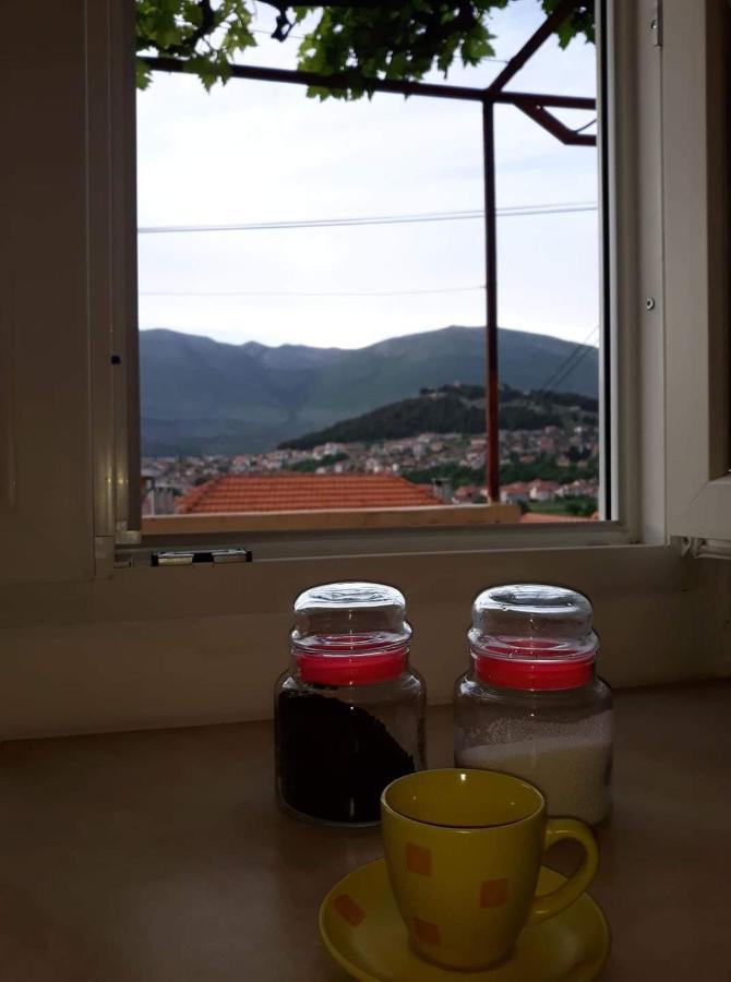 Apartment Tanja Trebinje Kültér fotó